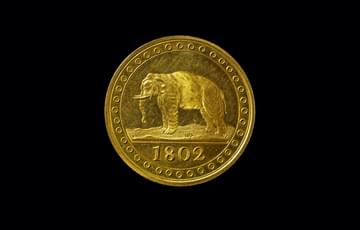 Gold coloured coin with an elephant
