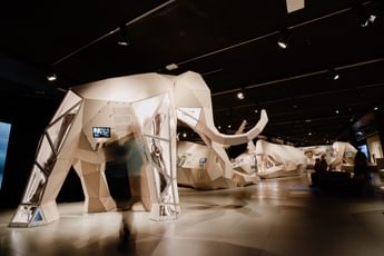 Exhibition space with life size 3D woolly mammoth.