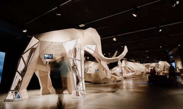 Exhibition space with life size 3D woolly mammoth.
