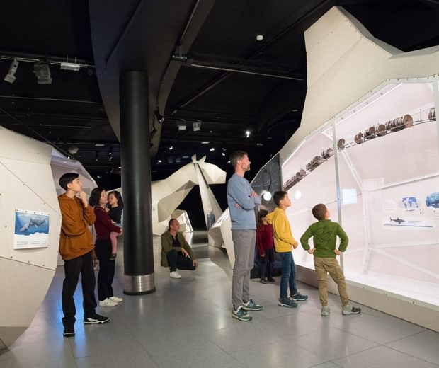 An exhibition space with 3D whale and spine fragments with adults and children in front.