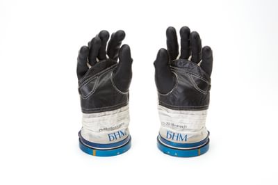 A pair of glves with black hands and white wrist area.