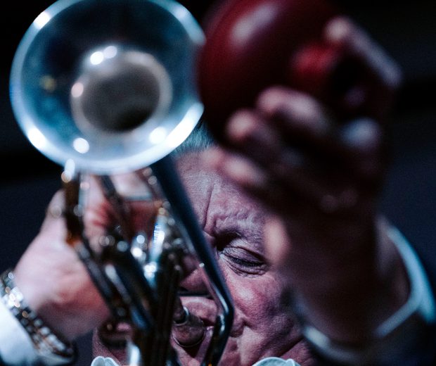 Close up of a person playing a trumpet.