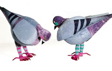 Two people dressed in pigeon costumes on a white background.