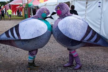 Two people dressed in pigeon costumes face each other, with tents behind.