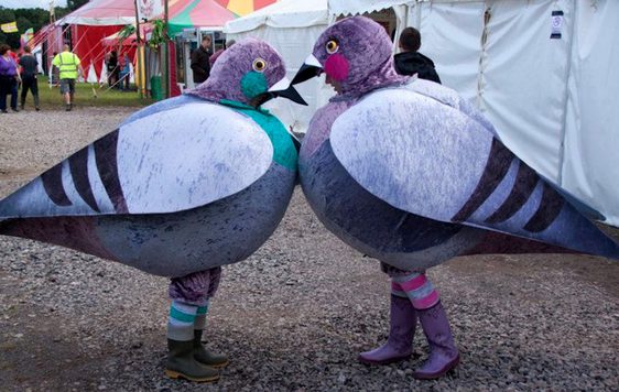 Two people dressed in pigeon costumes face each other, with tents behind.
