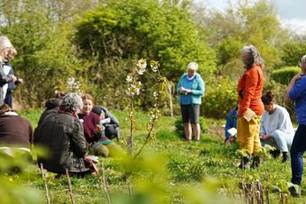 A group of people outside surrounded by green bushes.