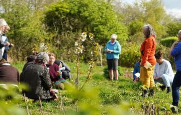 A group of people outside surrounded by green bushes.