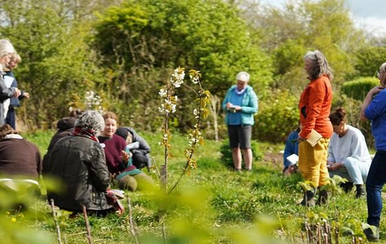 A group of people outside surrounded by green bushes.