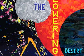 Abstract cosmic artwork with flowers, a grey rock labelled ‘THE,’ red-orange circle with ‘FLOWERING,’ and blue-green circle with ‘DESERT.’