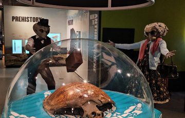 Two people dressed as alien Roswell characters dancing around a green sea turtle that is on display.