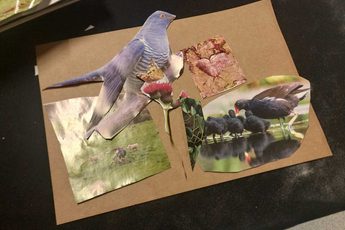 Collage artwork with birds and nature landscapes.