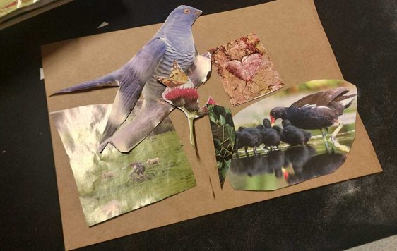 Collage artwork with birds and nature landscapes.