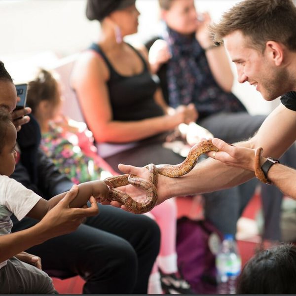 Jurassic Encounters: Zoolab at Thinktank