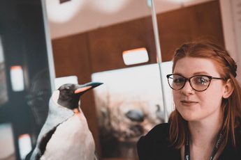 A lady next to a taxidermy penguin.