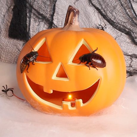 A plastic pumpkin with a cockroaches on it.