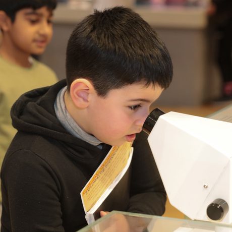A child looking through a microscope in a gallery.