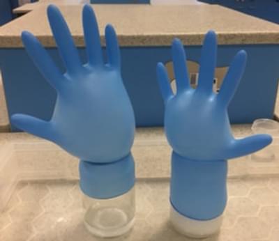 Two blue plastic gloves. They're inflated like balloons, and they're stood upright with their fingers pointing upwards