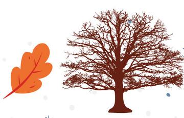 Illustration of a leaf and a tree without leaves