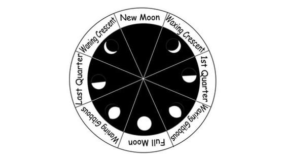 A black diagram on a white background. The diagram is a circle, and shows the 8 phases of the moon.
