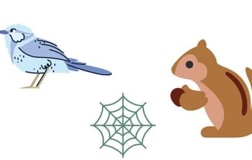 Illustration of a bird, squirrel and cobweb