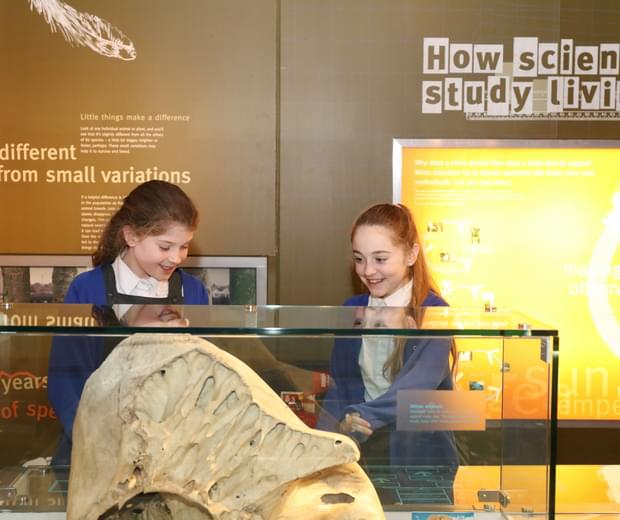 Two school children in a gallery with display case in front of them