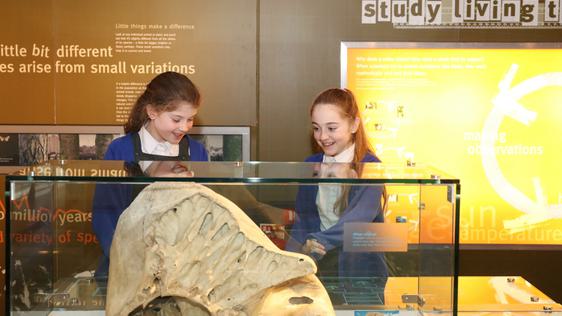 Two pupils looking at a fossil on display.