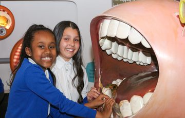 Two school girls are smiling while holding on to large teeth from a mouth is part of a museum display.