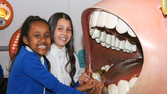 Two school girls are smiling while holding on to large teeth from a mouth is part of a museum display.