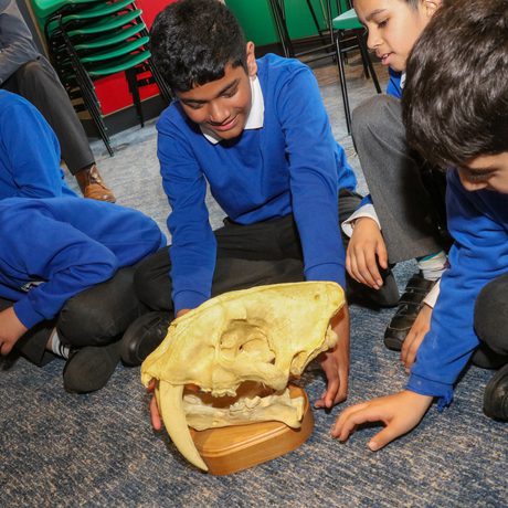 A group of school children sitting on the floor looking at an animal skull as part of a teaching session.