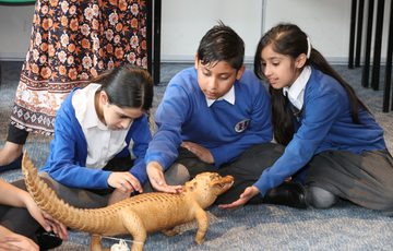 Three school children looking and stroking a taxidermy crocodile as part of a school session.