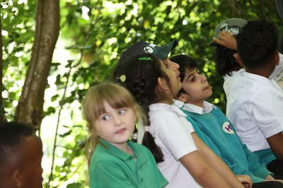 Children sitting outdoors, looking upward with curiosity amidst green foliage background.