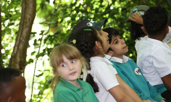 Children sitting outdoors, looking upward with curiosity amidst green foliage background.