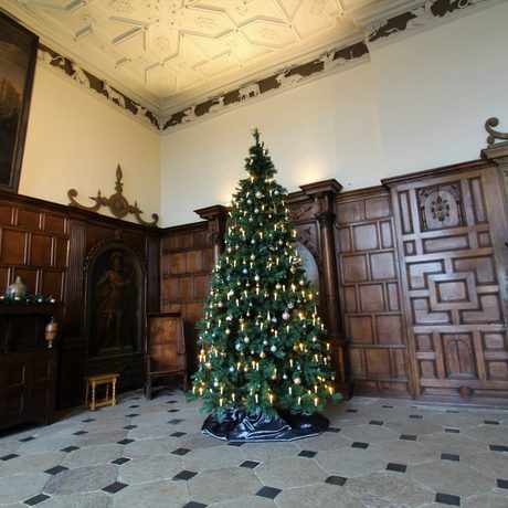 A decorated Christmas tree in a grand hall with wood panelled walls and paintings on the wall.
