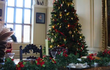 Christmas Tree behind a table decorated for Christmas.