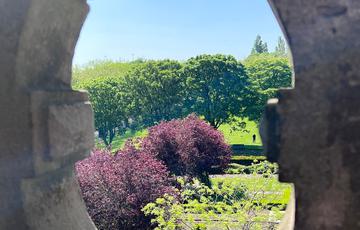 A view of a garden with trees, looking through a stone oval window.