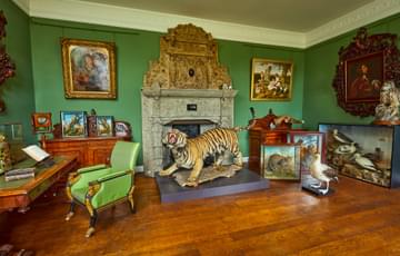 A green room filled with taxidermy animals including a tiger, birds and other animals. Paintings hang on the walls and there is a large fireplace and desk.