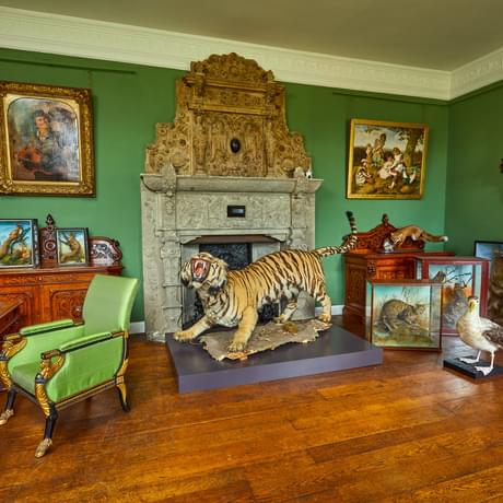 A green room filled with taxidermy animals including a tiger, birds and other animals. Paintings hang on the walls and there is a large fireplace and desk.