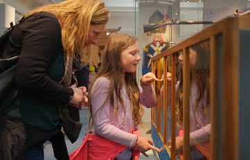 An adult and child looking into wood and glass interactive case.