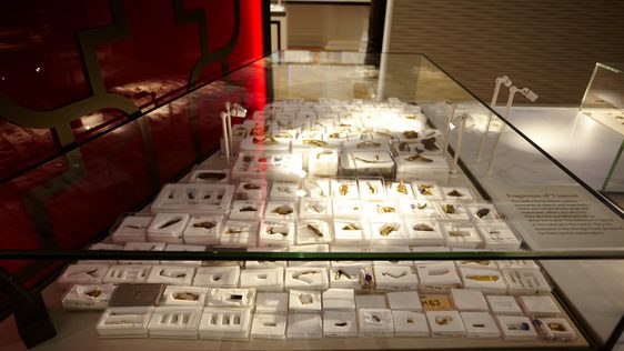 Close up of a large collection of Staffordshire hoard fragments in individual display boxes on display in a display case.