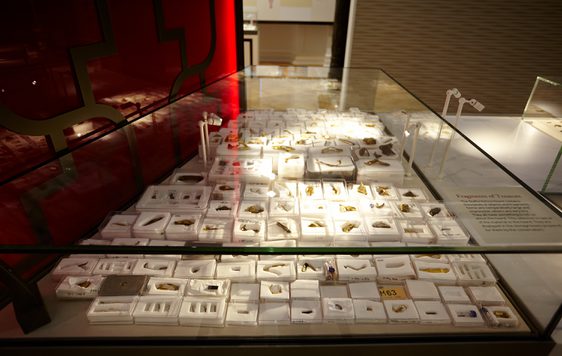 Close up of a large collection of Staffordshire hoard fragments in individual display boxes on display in a display case.