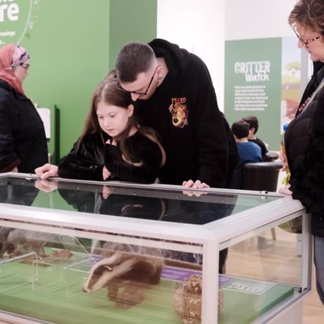 Two adults and child looking into a display case featuring taxidermy badger, squirrel, rat and spider.