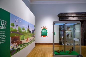 A gallery display with graphic on wall and display case with taxidermy animals.