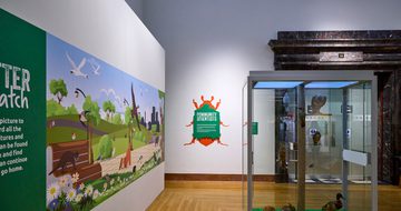 A gallery display with graphic on wall and display case with taxidermy animals.