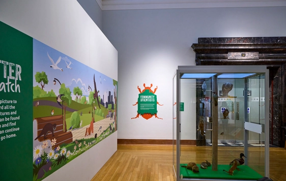A gallery display with graphic on wall and display case with taxidermy animals.