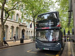 A bus in a bus stop at the side of the road with trees and building behind.