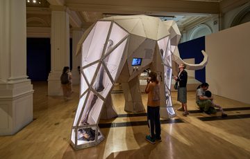 A gallery with life sized 3D model of an woolly mammoth from the back showing a hind bone, people are surrounding it.