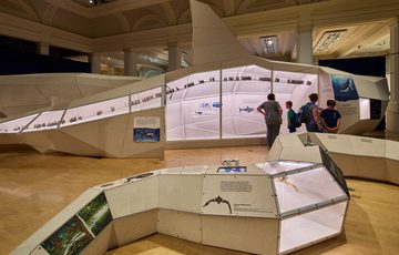 Large life-sized 3D models of an ancient shark and snake with visitors looking at the shark.