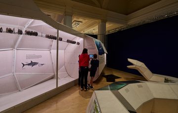 People looking at an ancient shark model with fragments of spine bones on display.