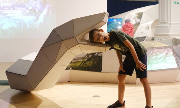 A large 3D model of an life size giant snake with a child putting their head inside and looking surprised.