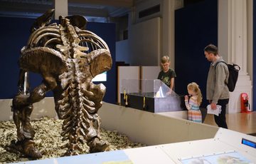 A fossil skeleton in the foreground with a family in the background.